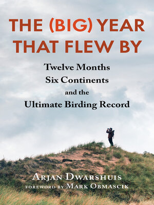 cover image of The (Big) Year that Flew By